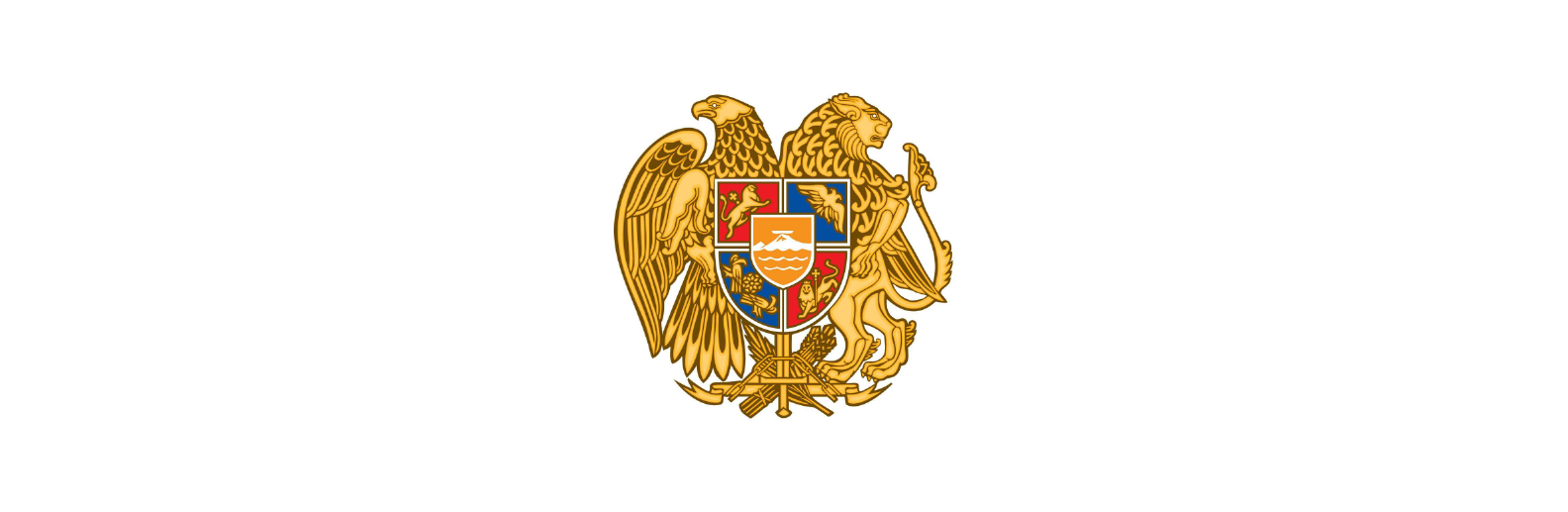 ARM Government
